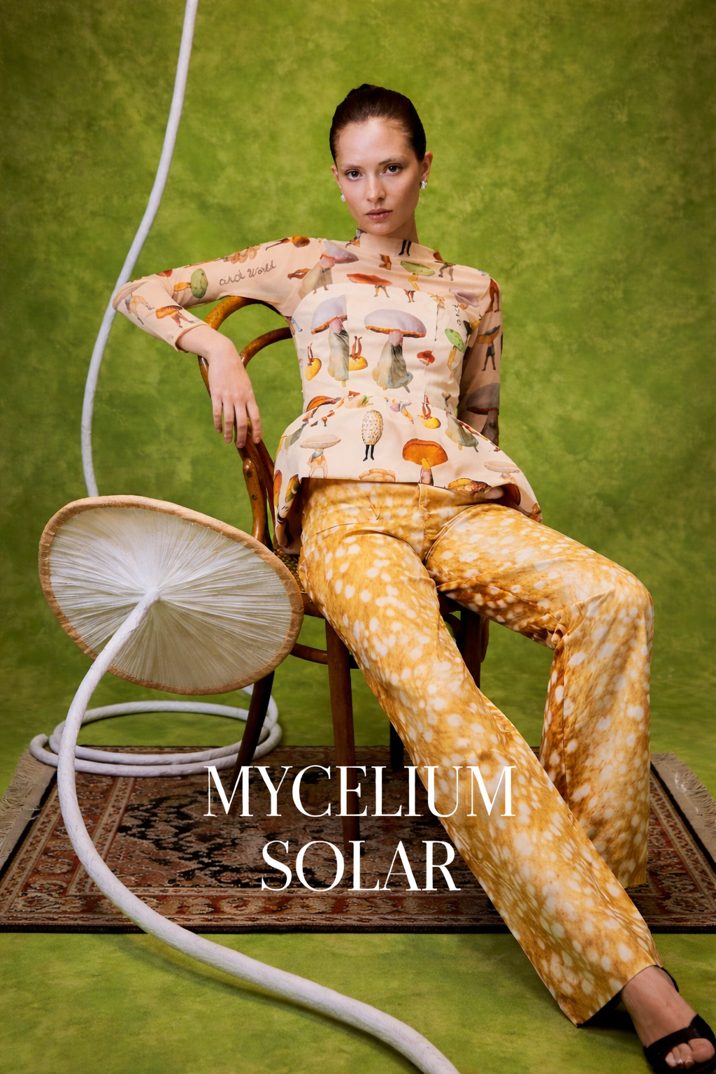 Mycelium Solar