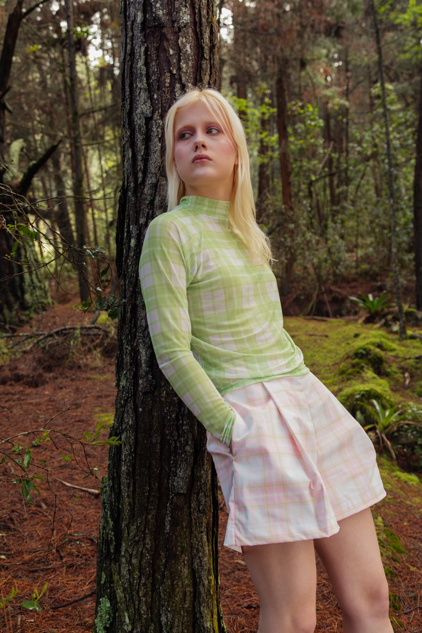 Pinakes Green Top Manga Larga