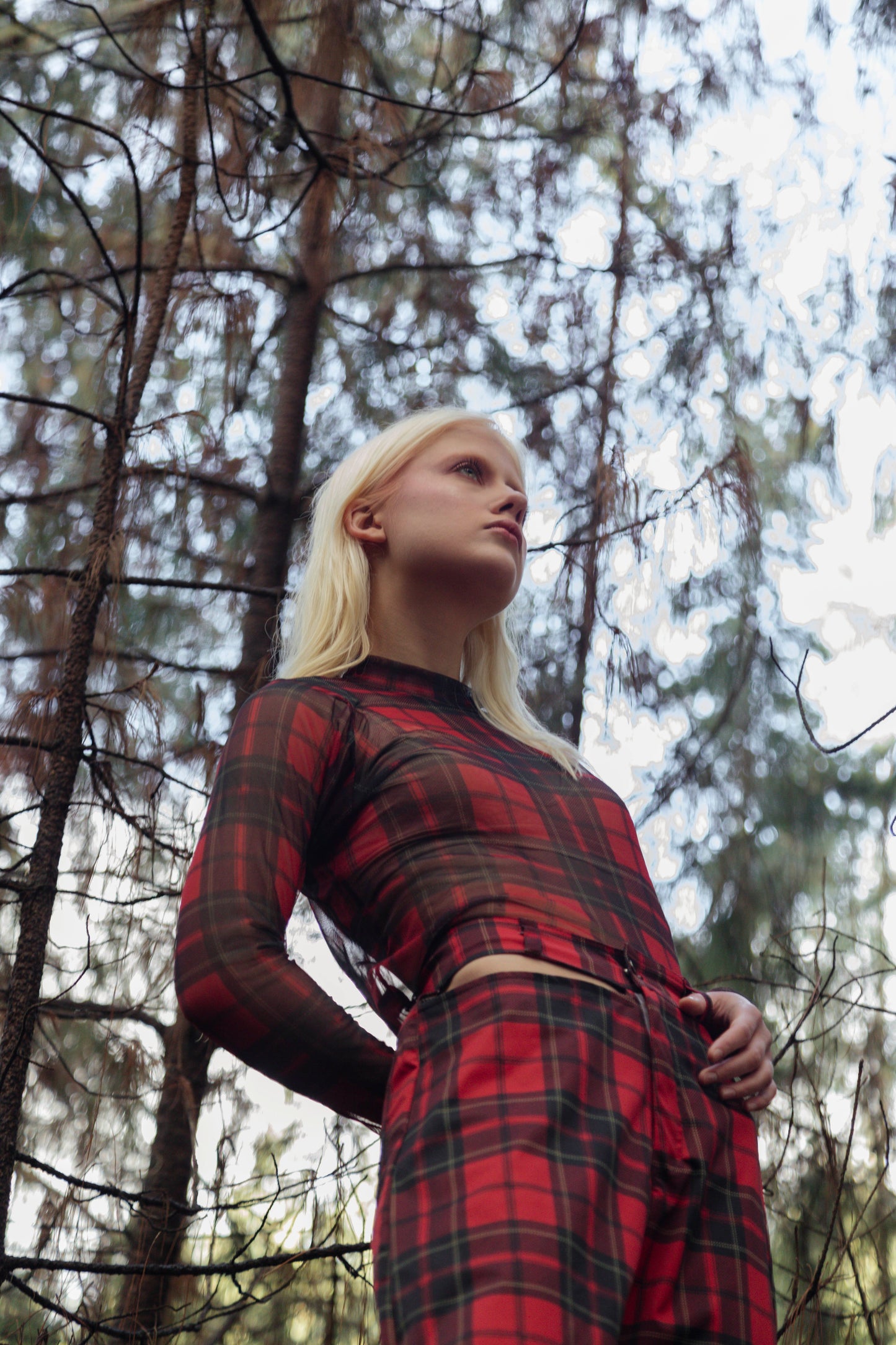 Pinakes Red Top Manga Larga